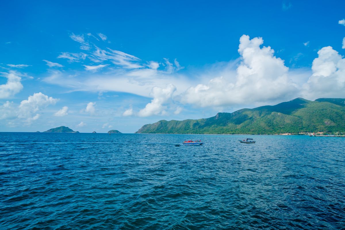 media_image0
