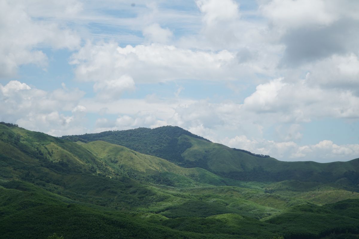 media_image0