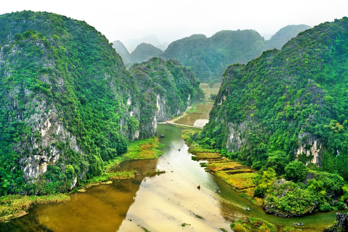 media_image0
