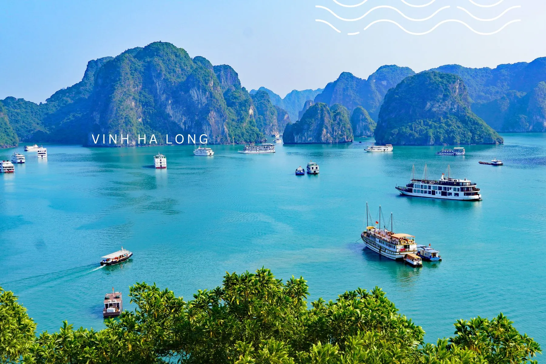TOUR DU LỊCH KHÁM PHÁ VỊNH HẠ LONG